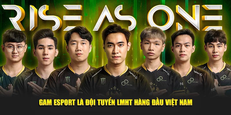 GAM Esport có các cầu thủ thuộc đội tuyển hàng đầu Việt Nam