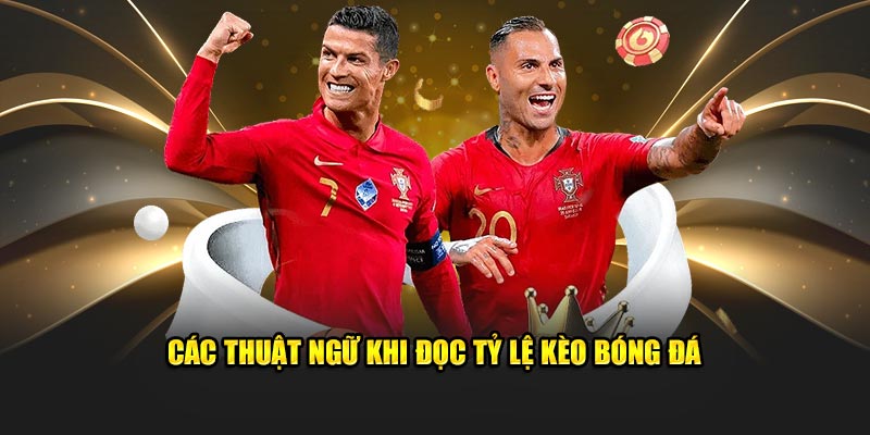 Thuật ngữ khi đọc tỷ lệ kèo bóng đá tại sân chơi King88