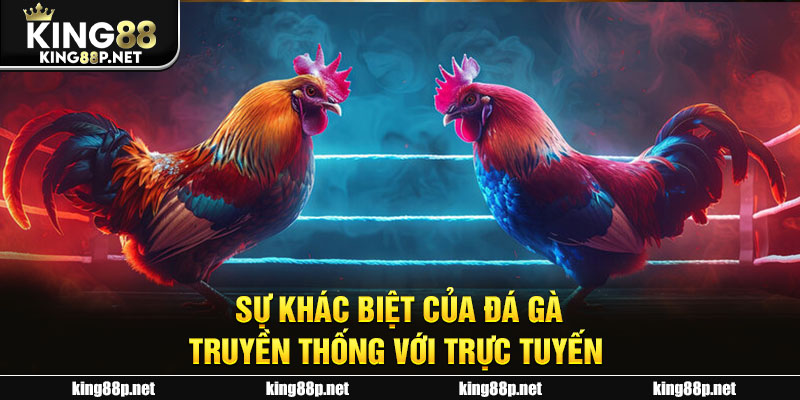 Sự khác biệt của đá gà truyền thống với trực tuyến