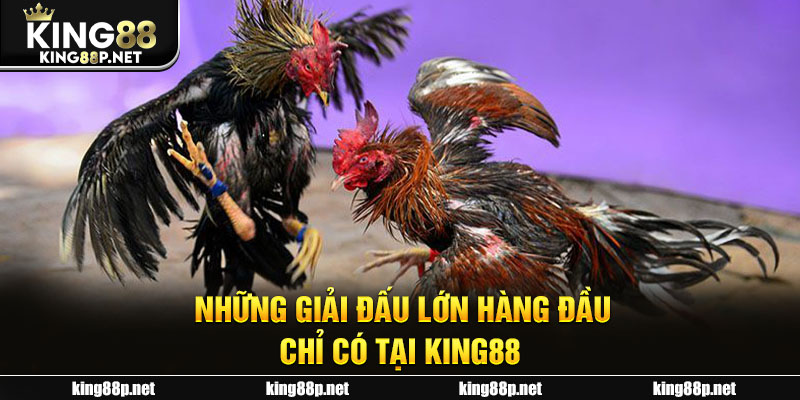 Những giải đấu lớn hàng đầu chỉ có tại King88