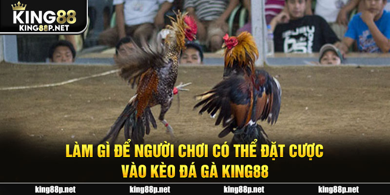 Làm gì để người chơi có thể đặt cược vào kèo đá gà King88